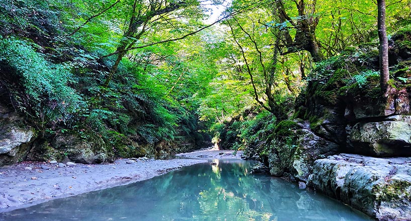 تنگه‌ی دار نوشهر | آدرس، تصاویر و راهنمای سفر