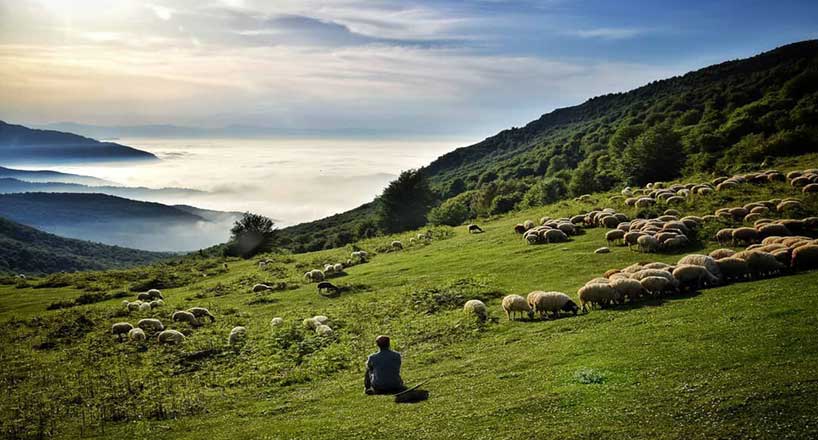 جاهای دیدنی سیاهکل | آشنایی با جاذبه‌های سیاهکل، آدرس و تصاویر